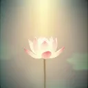 Meta (love) body mediation