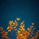 Nuit d’Automne