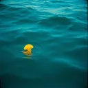 AGUA VIVA