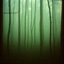 Wishpering Wind
