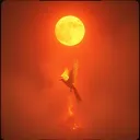 Alchemy of Ashes
