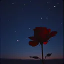 My Rosebud