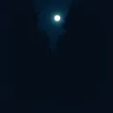Light The Way