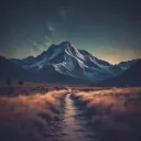 The Path of Glory