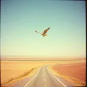 Breaking Free in Kansas