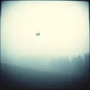 Strangers With Memories