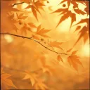 Pieces of Quiet