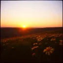 "Hill Country Queen"