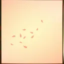 A Love That Blooms, But Cannot Thrive