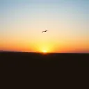 The price of being free