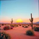 Desierto Erotico