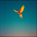 Falling Through the Sky