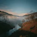 West Virginia in my blood