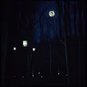 Echoes of the Night