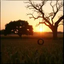 Roots in the Dirt