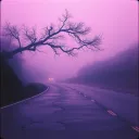 The Sky