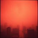 World on fire