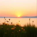 " Oh, What a Beautiful Sunset "