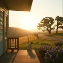 Hill Country Living