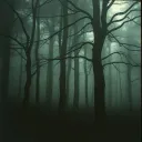 Ewiger Sturm