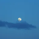 BULANKU TEMARAM