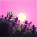 Real meditation
