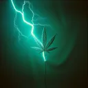 ] Meth vs Weed: The Duel