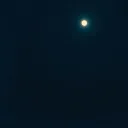 Whispers in the Night