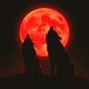 Blood Moon Rising