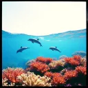 Save the Waves