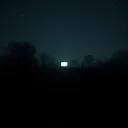 SLEEPLESS FUNERAL (Fatal Familial Insomnia)