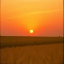Heartbeat of the Land