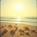 Sunlit Escape