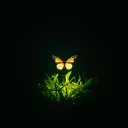 Trapped in Shadows