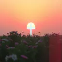 He is risen
