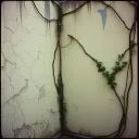 Walls
