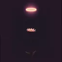 Invisible Crown