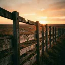 Country