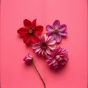 I love you 2
