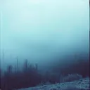 The Shrouded Veil