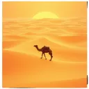 Camels Tolerance