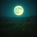 White as the moon