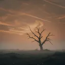 Hollow Calm