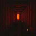 We Cannot Live the Light Except for the Darkness