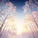 Grace by My savior