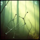 Bones of Our Love