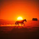 Wide Plains of the Heart