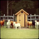 One Hole Outhouse