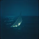 Memory Trawl