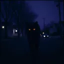 The Night Stalker’s Shadow